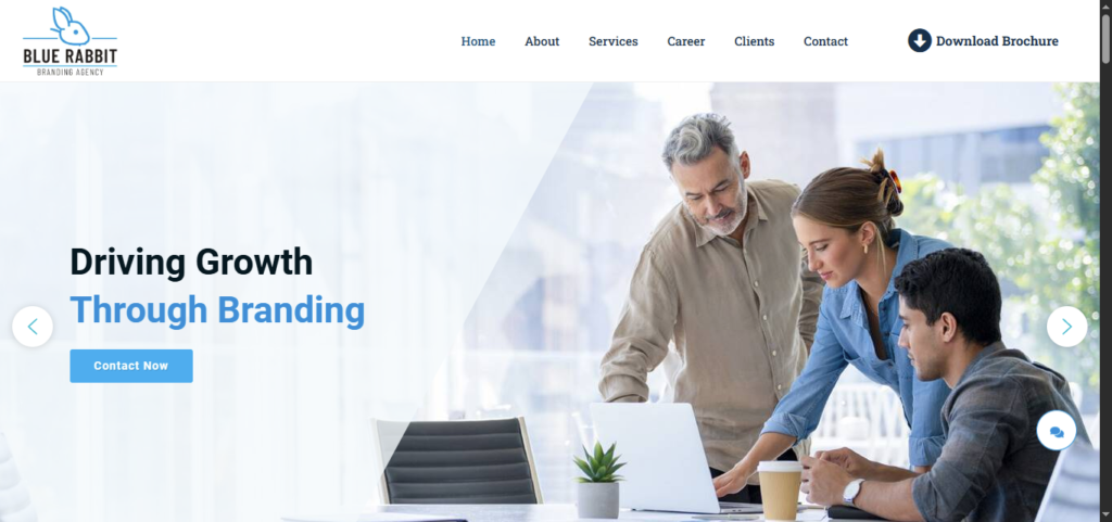bluerabbit website design